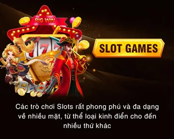 Đa dạng trận đấu và trường gà